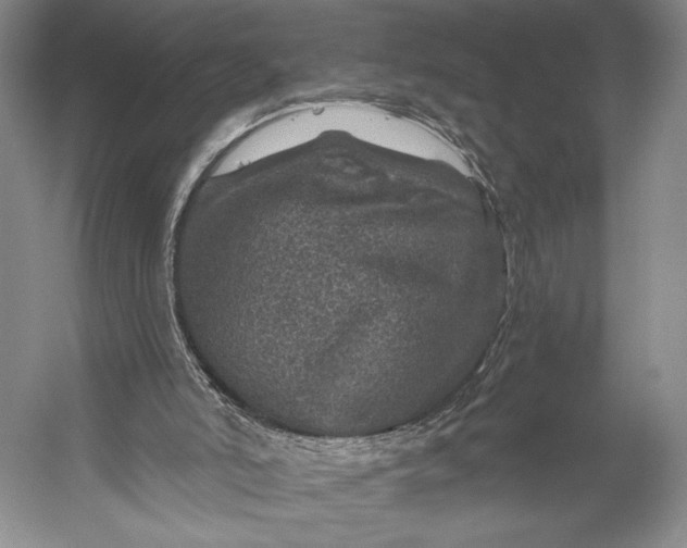 X0000056320006200509161655