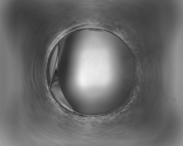 X0000056320007200509161655
