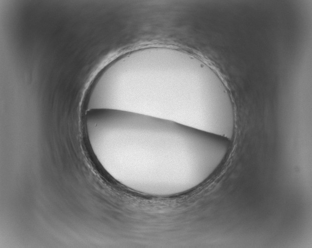 X0000056320008200509161655