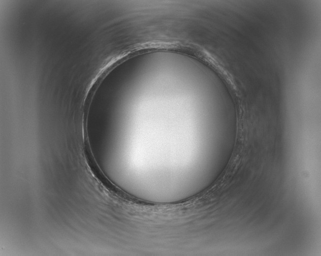 X0000056320011200509161655