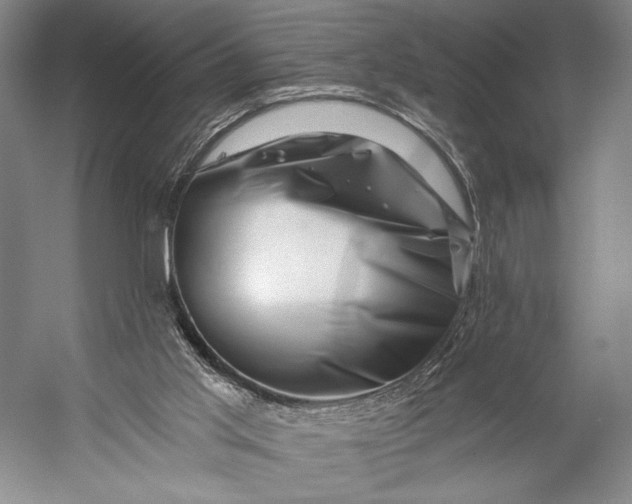 X0000056320013200509161655