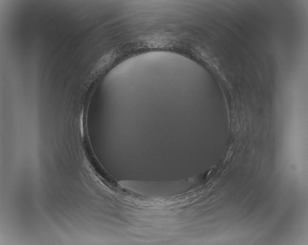 X0000056320019200509161655