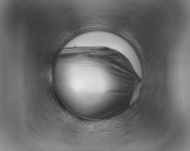 X0000056320021200509161655