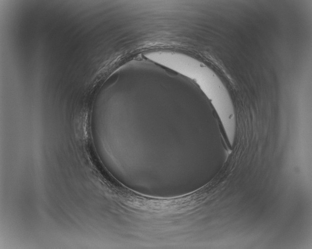 X0000056320023200509161655