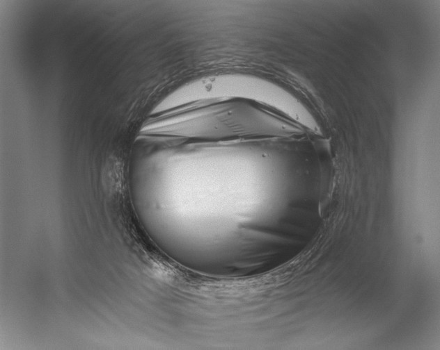 X0000056320025200509161655
