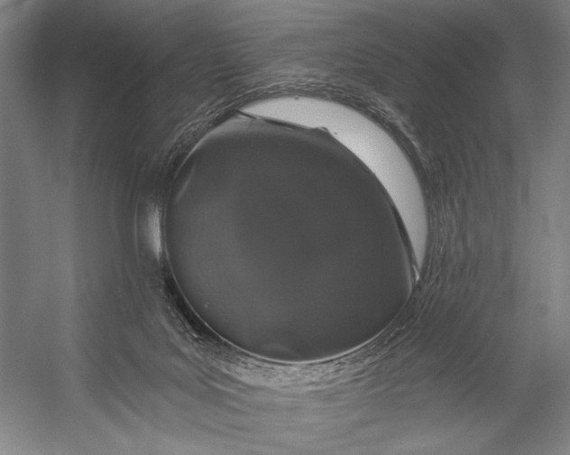 X0000056320027200509161655