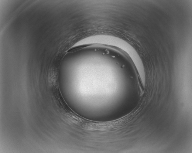 X0000056320033200509161655