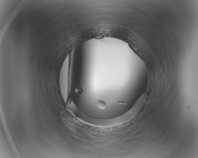 X0000056320037200509161655