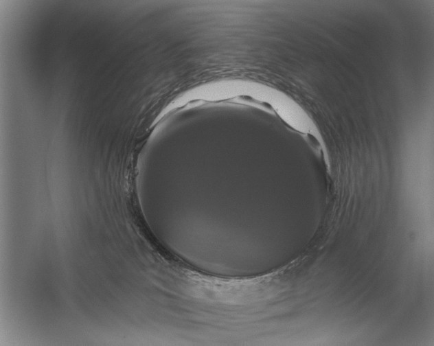 X0000056320039200509161655