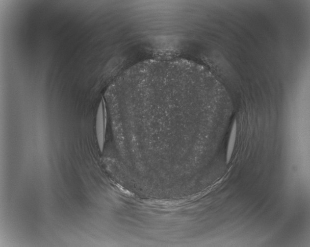 X0000056320041200509161655