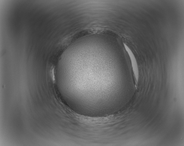 X0000056320042200509161655