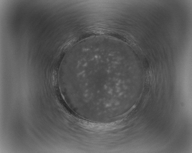 X0000056320043200509161655