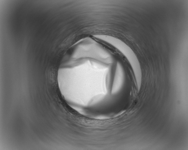 X0000056320044200509161655