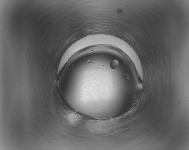 X0000056320045200509161655
