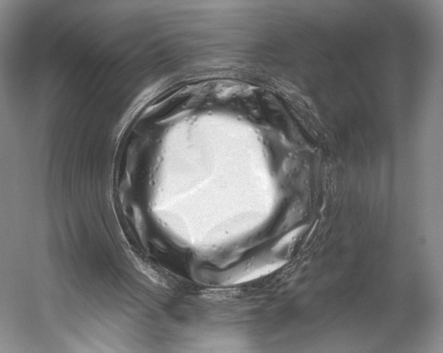 X0000056320051200509161654