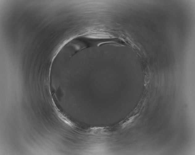 X0000056320052200509161654