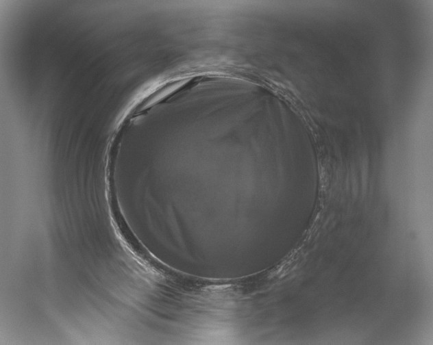 X0000056320054200509161654