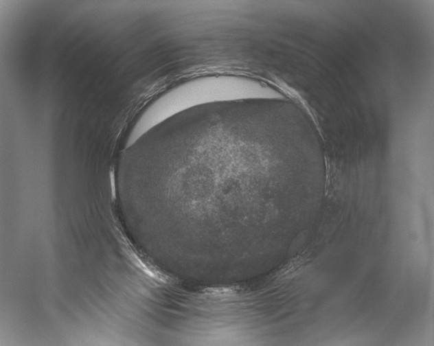 X0000056320061200509161654