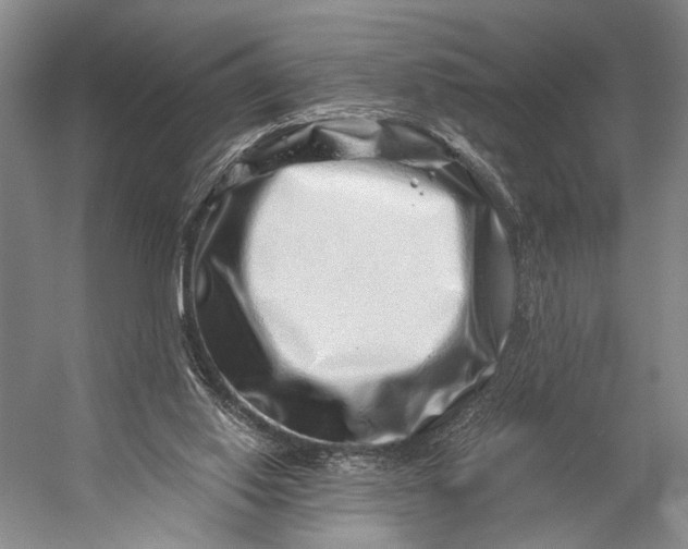 X0000056320062200509161654