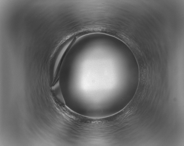 X0000056320064200509161654