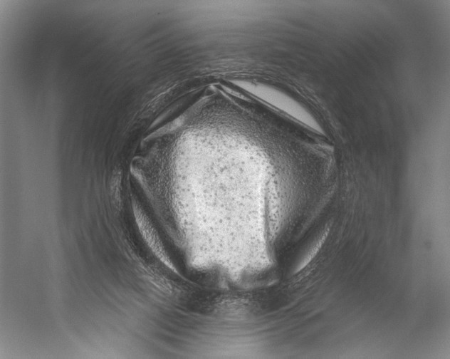 X0000056320066200509161654