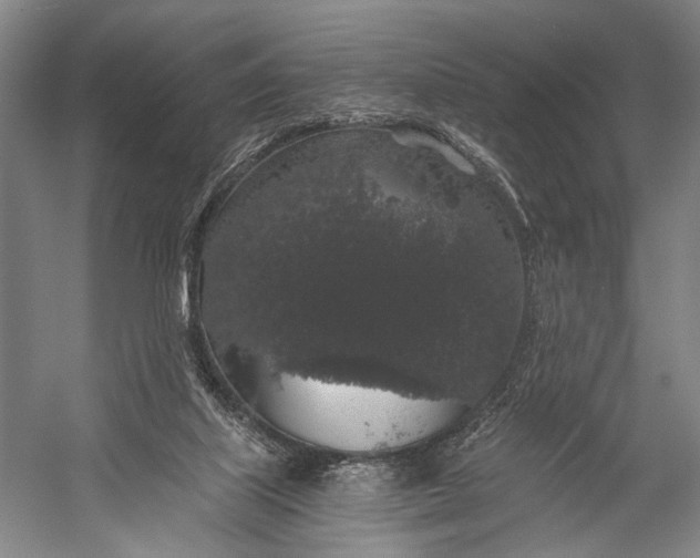 X0000056320067200509161654