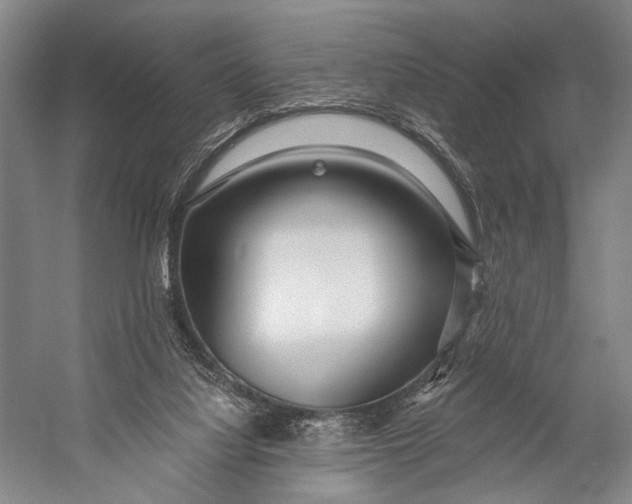 X0000056320068200509161654