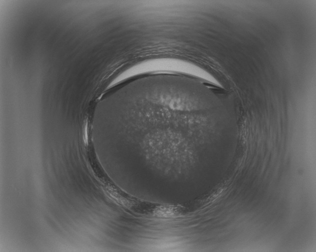 X0000056320076200509161654