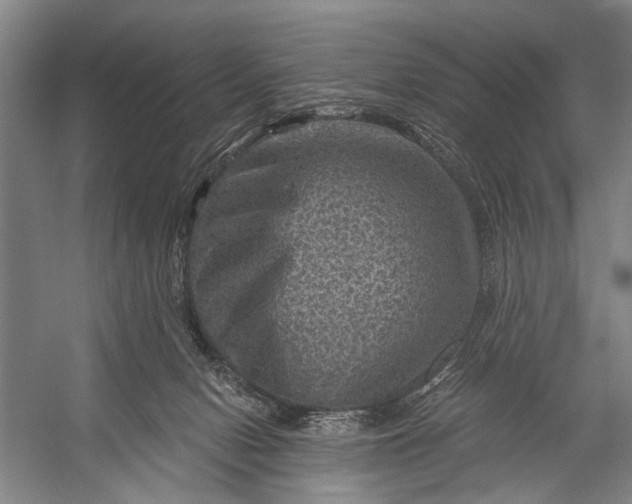 X0000056320078200509161654