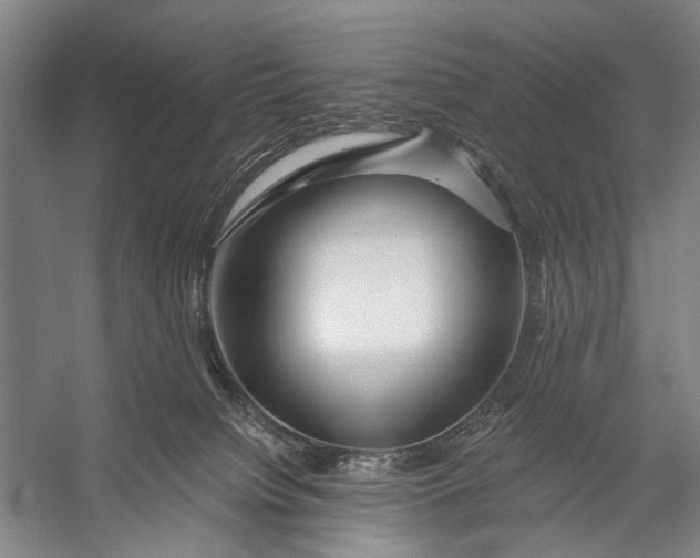 X0000056320084200509161654