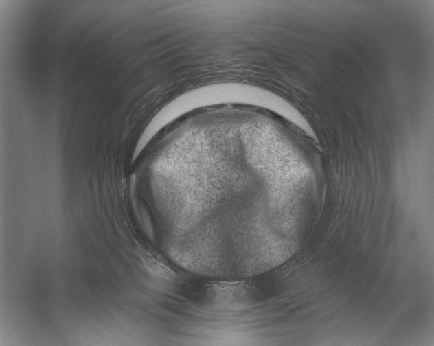 X0000056320085200509161654