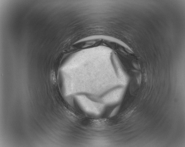 X0000056320089200509161654