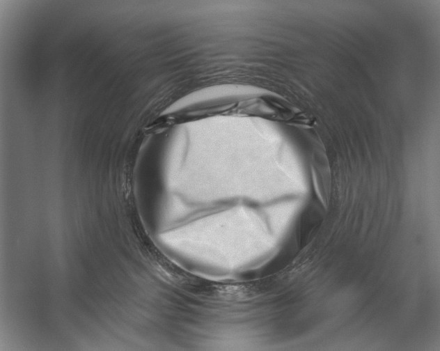 X0000056320091200509161654