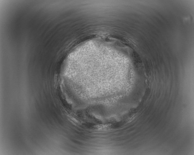 X0000056320093200509161654