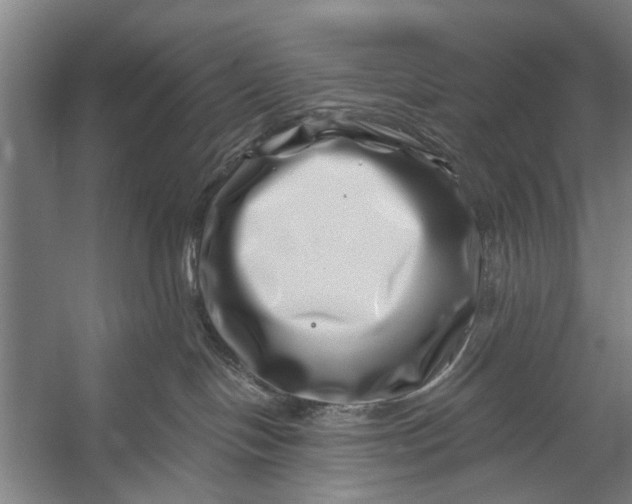 X0000056320094200509161654