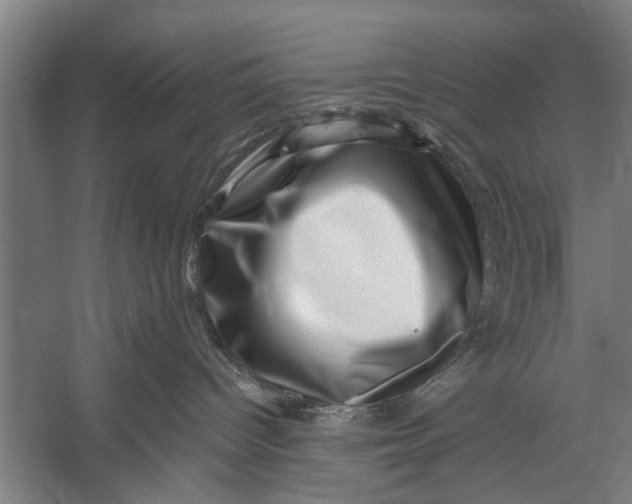 X0000056320096200509161654
