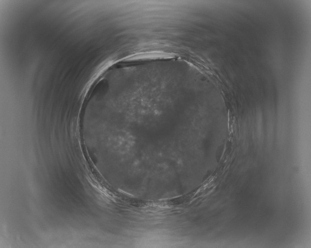 X0000056320099200509161654