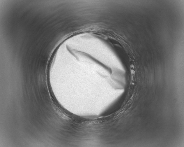 X0000056320100200509161654