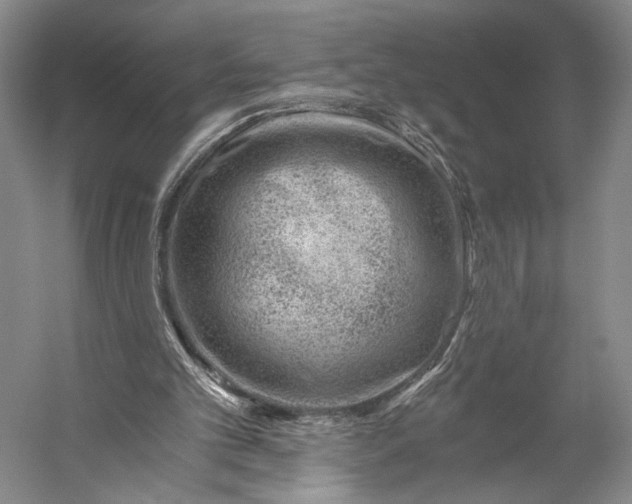 X0000056320101200509161654