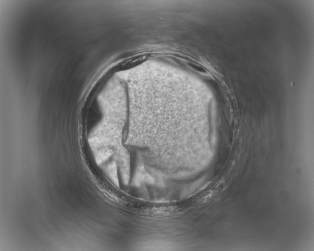 X0000056320103200509161654