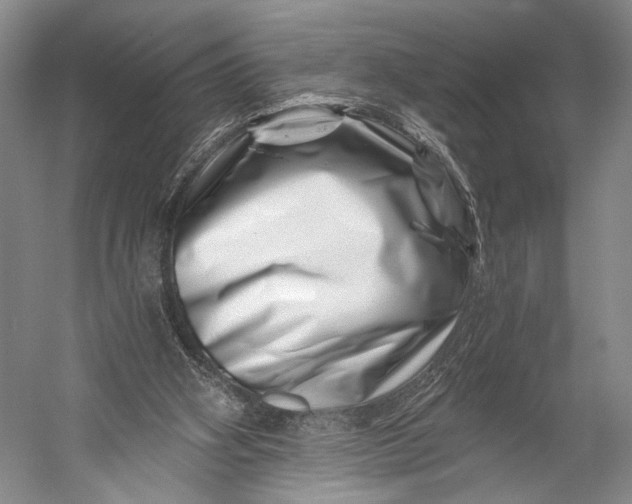 X0000056320106200509161653