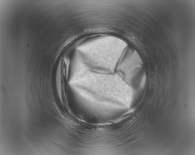 X0000056320111200509161653
