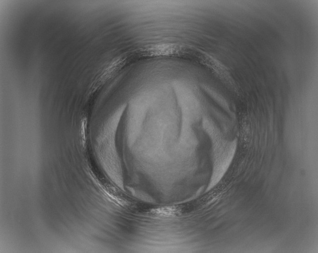 X0000056320118200509161653
