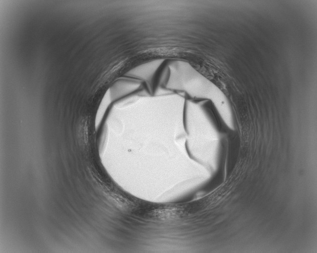 X0000056320120200509161653