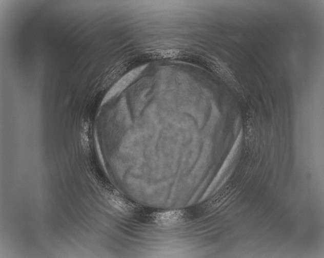 X0000056320122200509161653