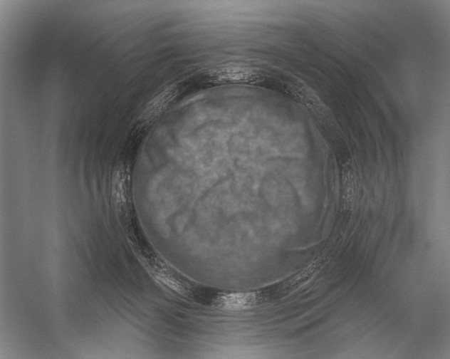 X0000056320126200509161653