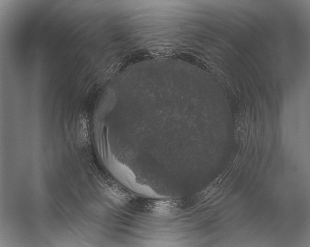 X0000056320130200509161653