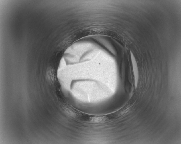 X0000056320135200509161653