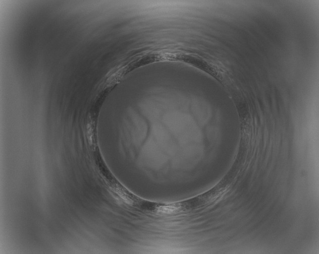 X0000056320139200509161653