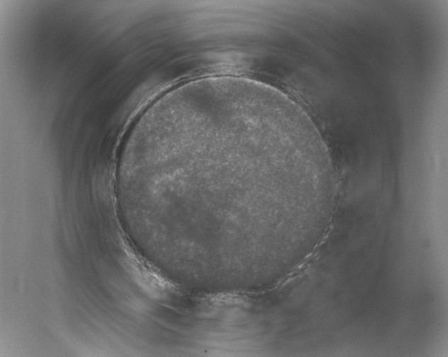 X0000056320146200509161652